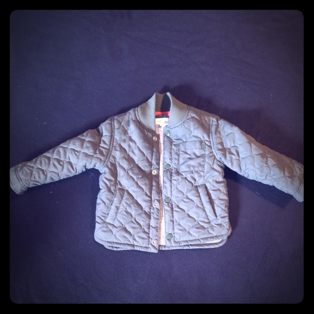 Gymboree Toddler Boy's Jacket 2t